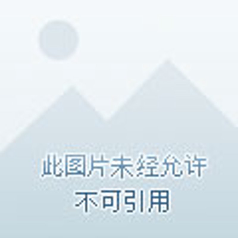 青岛系统集成，企业数字化转型的强大力量